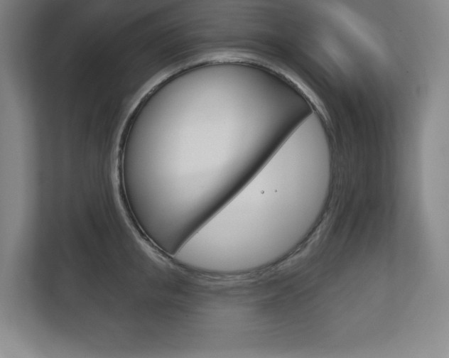 X0000113180853200909040952