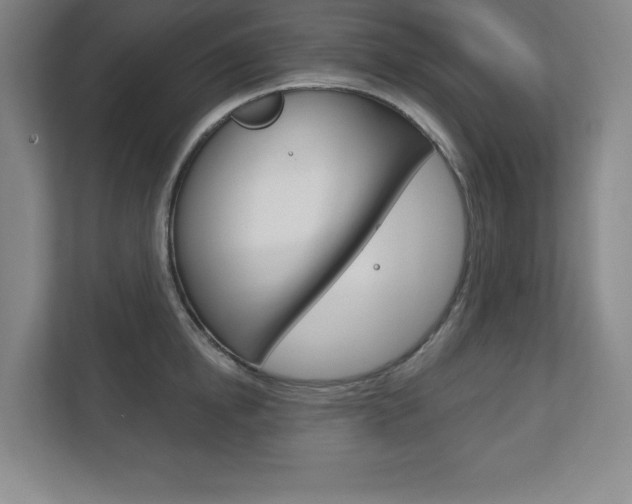 X0000113180854200909040952