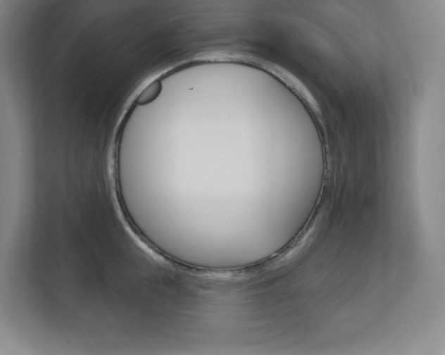 X0000113180855200909040952