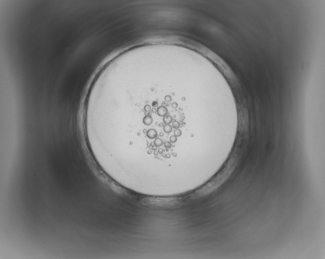 X0000113180856200909040952