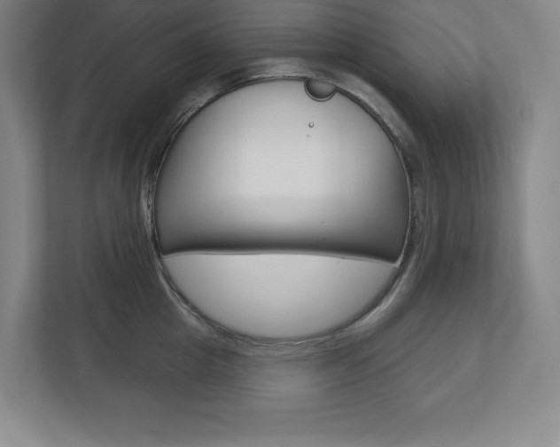 X0000113180857200909040952