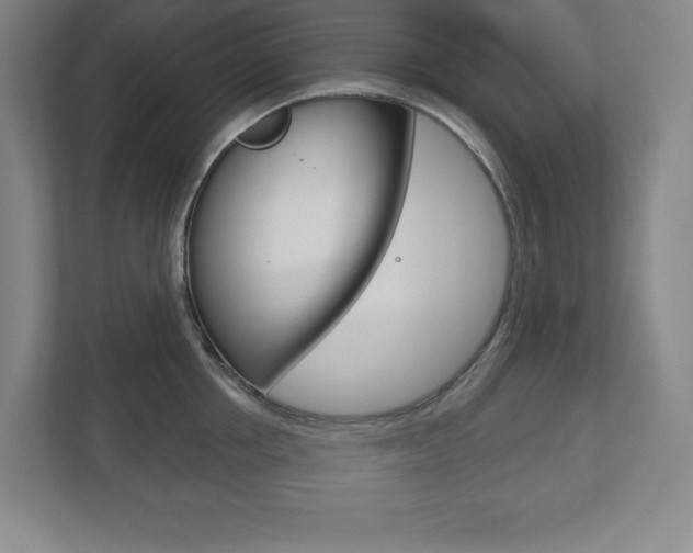 X0000113180858200909040952