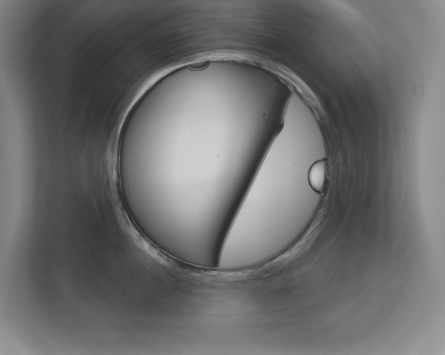 X0000113180860200909040952