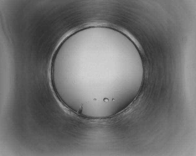 X0000113180861200909040952