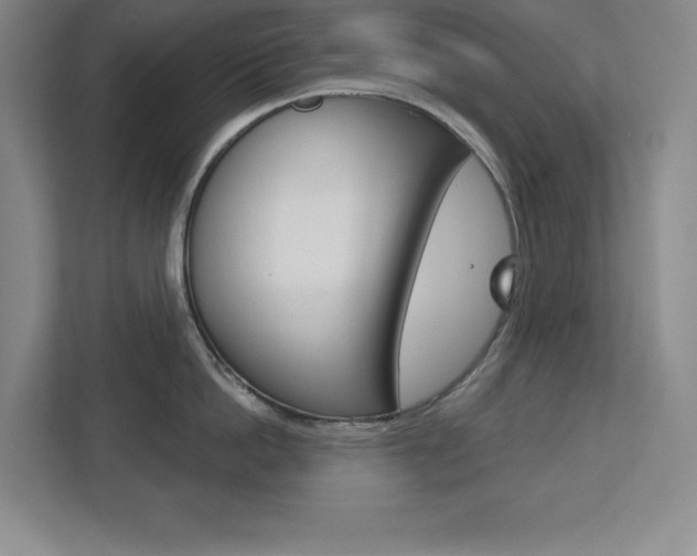 X0000113180862200909040952