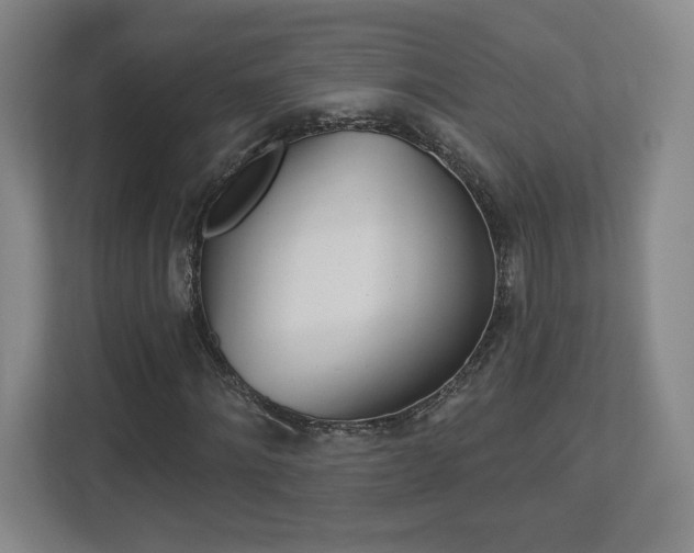 X0000113180868200909040952