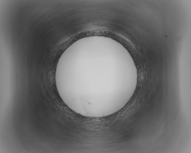X0000113180869200909040952