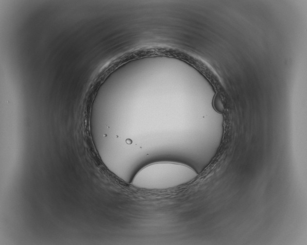 X0000113180871200909040952