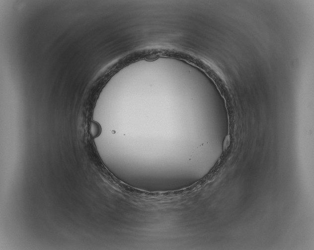 X0000113180872200909040952