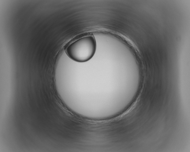 X0000113180873200909040952