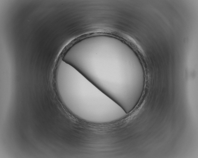 X0000113180875200909040952