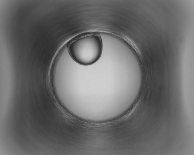 X0000113180876200909040952