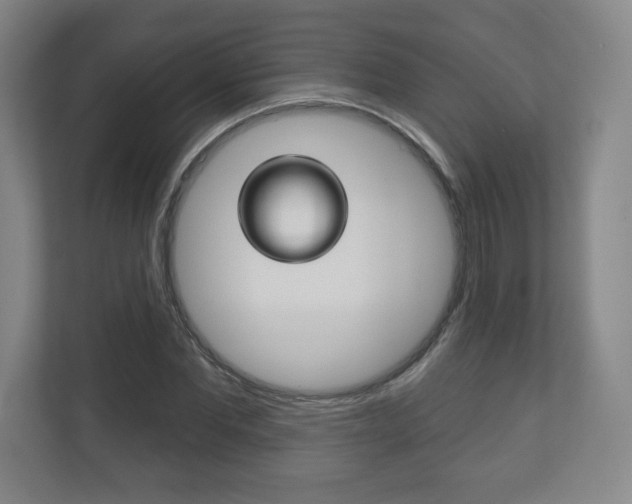 X0000113180877200909040952