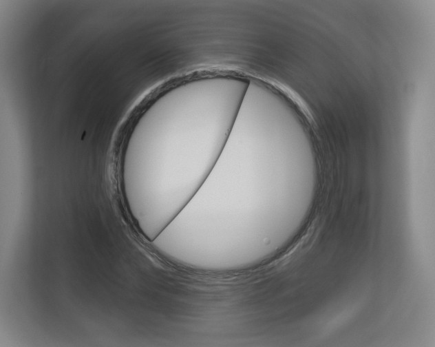 X0000113180878200909040952