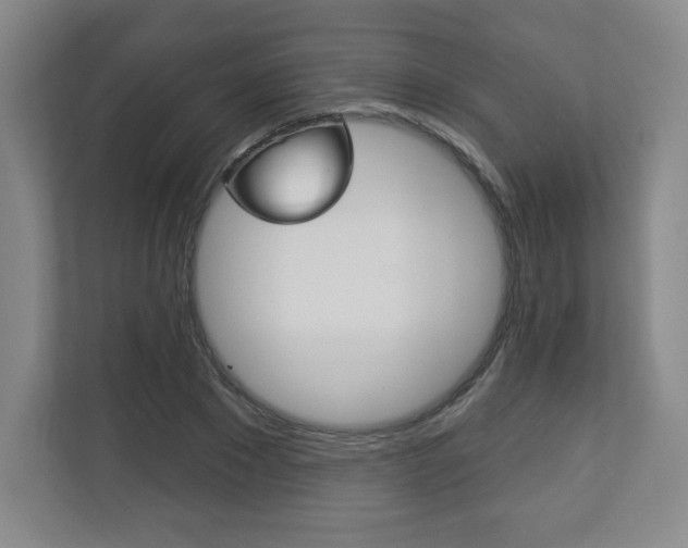 X0000113180881200909040952