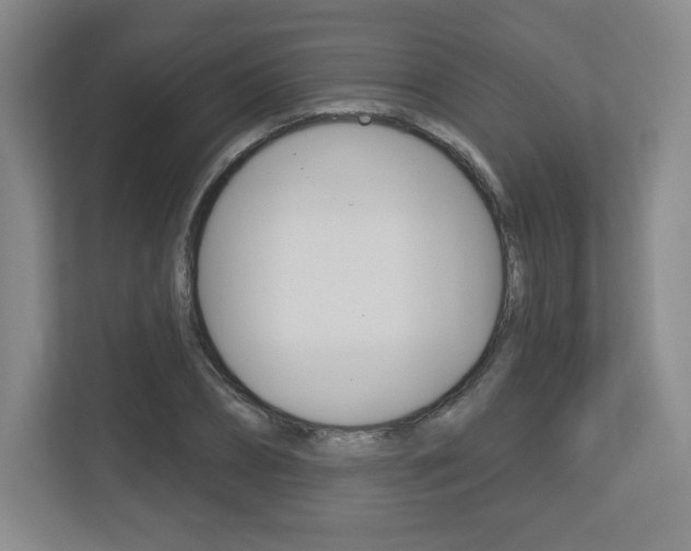X0000113180882200909040952