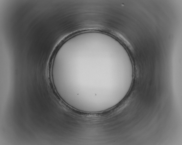 X0000113180883200909040952