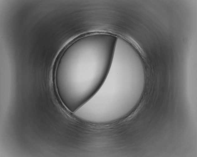 X0000113180884200909040952