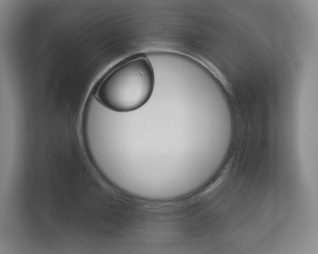X0000113180885200909040952