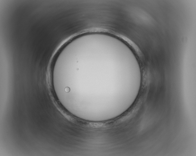 X0000113180886200909040952