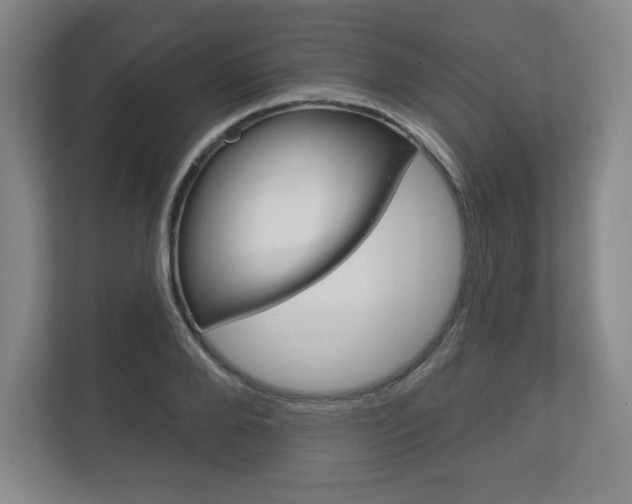 X0000113180888200909040952