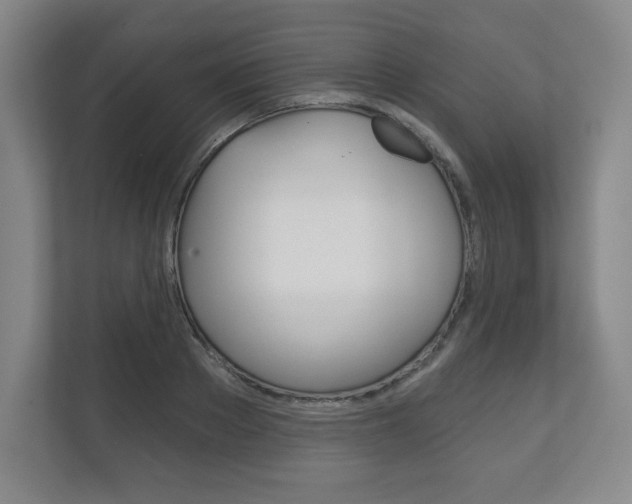 X0000113180889200909040952