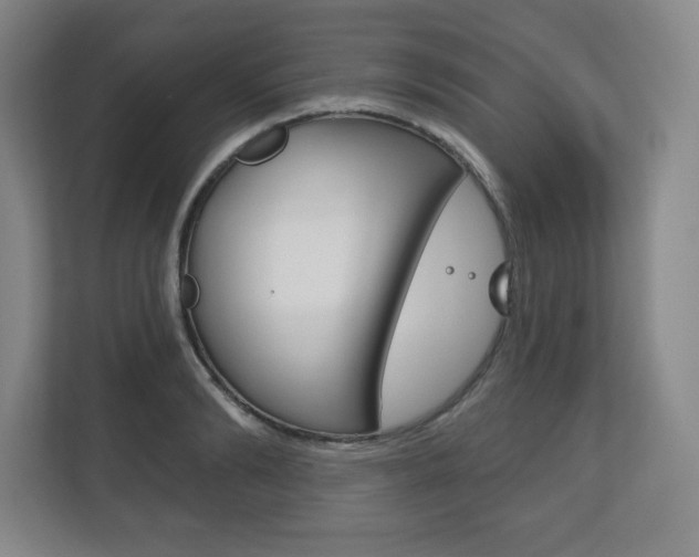 X0000113180894200909040951