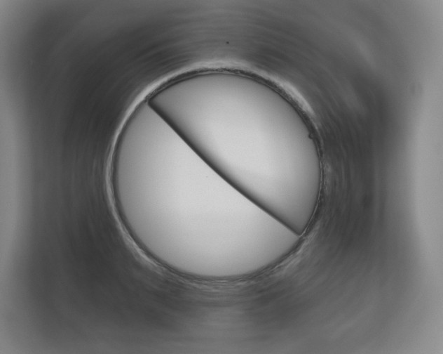 X0000113180895200909040951