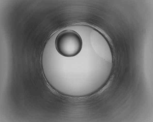 X0000113180897200909040951