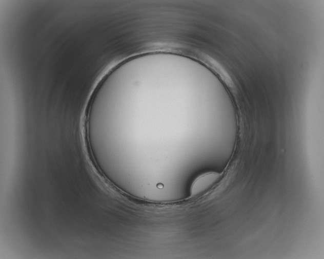 X0000113180899200909040951
