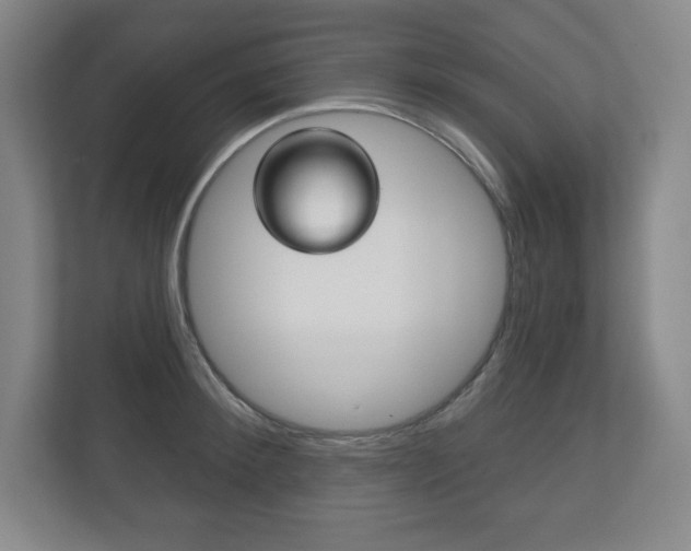 X0000113180900200909040951