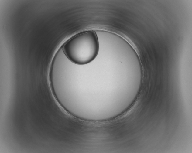 X0000113180901200909040951