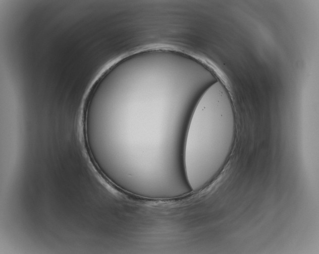 X0000113180902200909040951