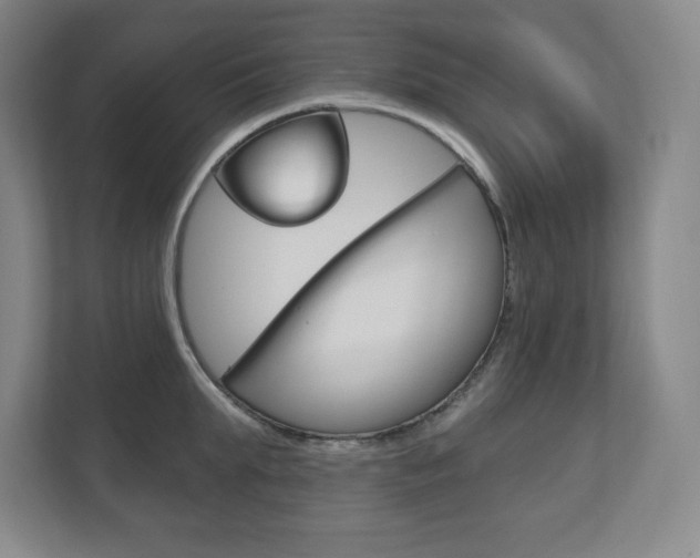 X0000113180903200909040951