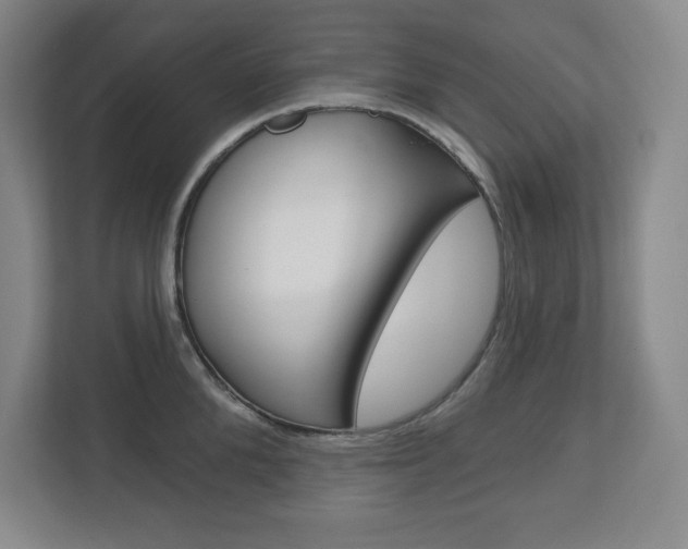 X0000113180904200909040951