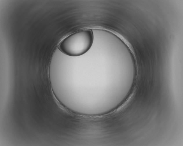 X0000113180905200909040951