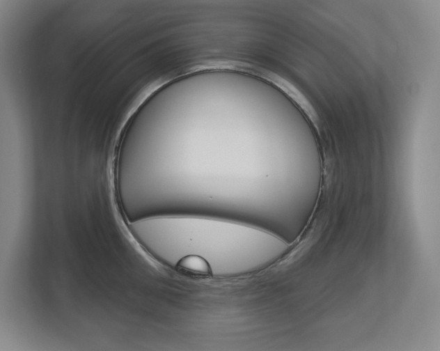 X0000113180906200909040951