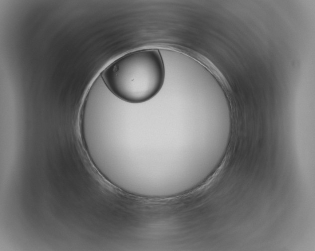 X0000113180908200909040951