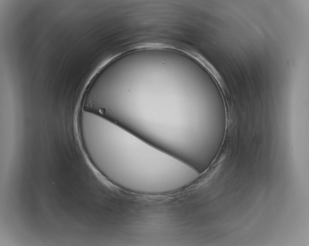 X0000113180909200909040951