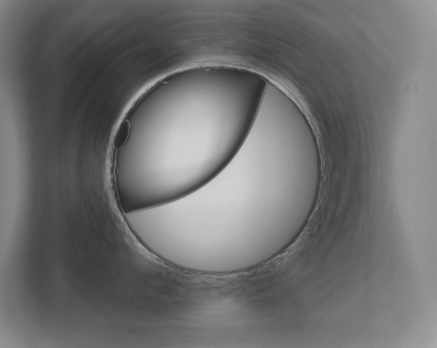 X0000113180912200909040951