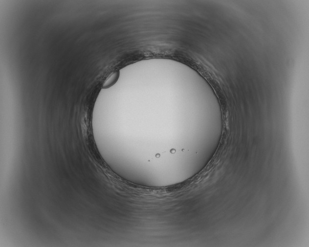 X0000113180915200909040951