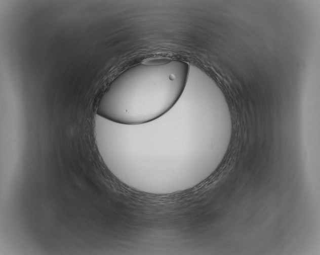 X0000113180916200909040951
