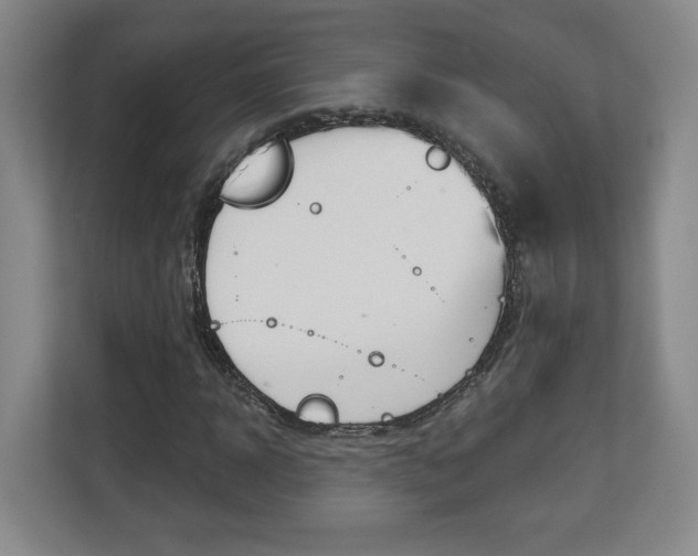 X0000113180918200909040951