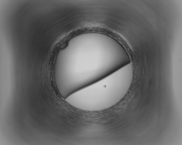 X0000113180919200909040951