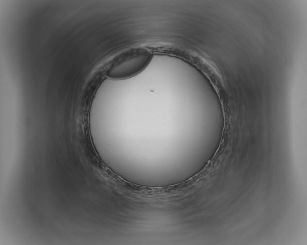 X0000113180920200909040951
