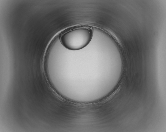X0000113180924200909040951