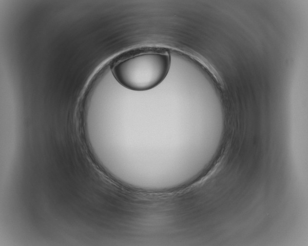 X0000113180926200909040951