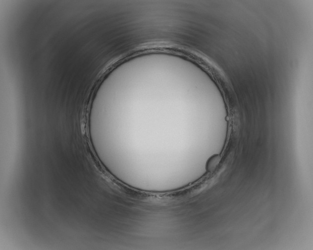 X0000113180929200909040951