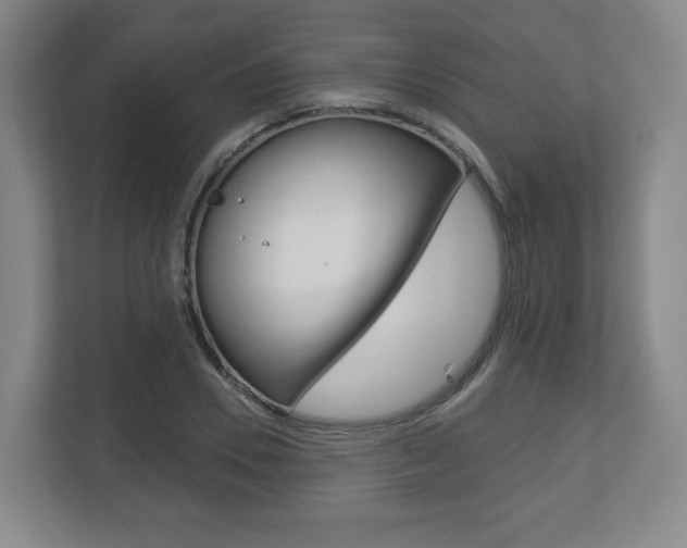 X0000113180930200909040951
