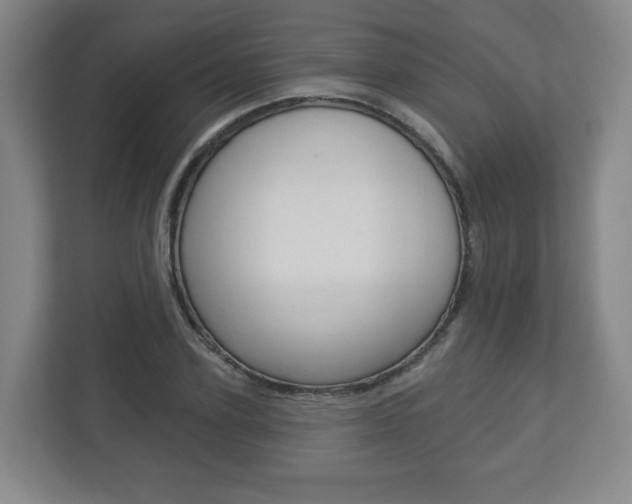 X0000113180931200909040951